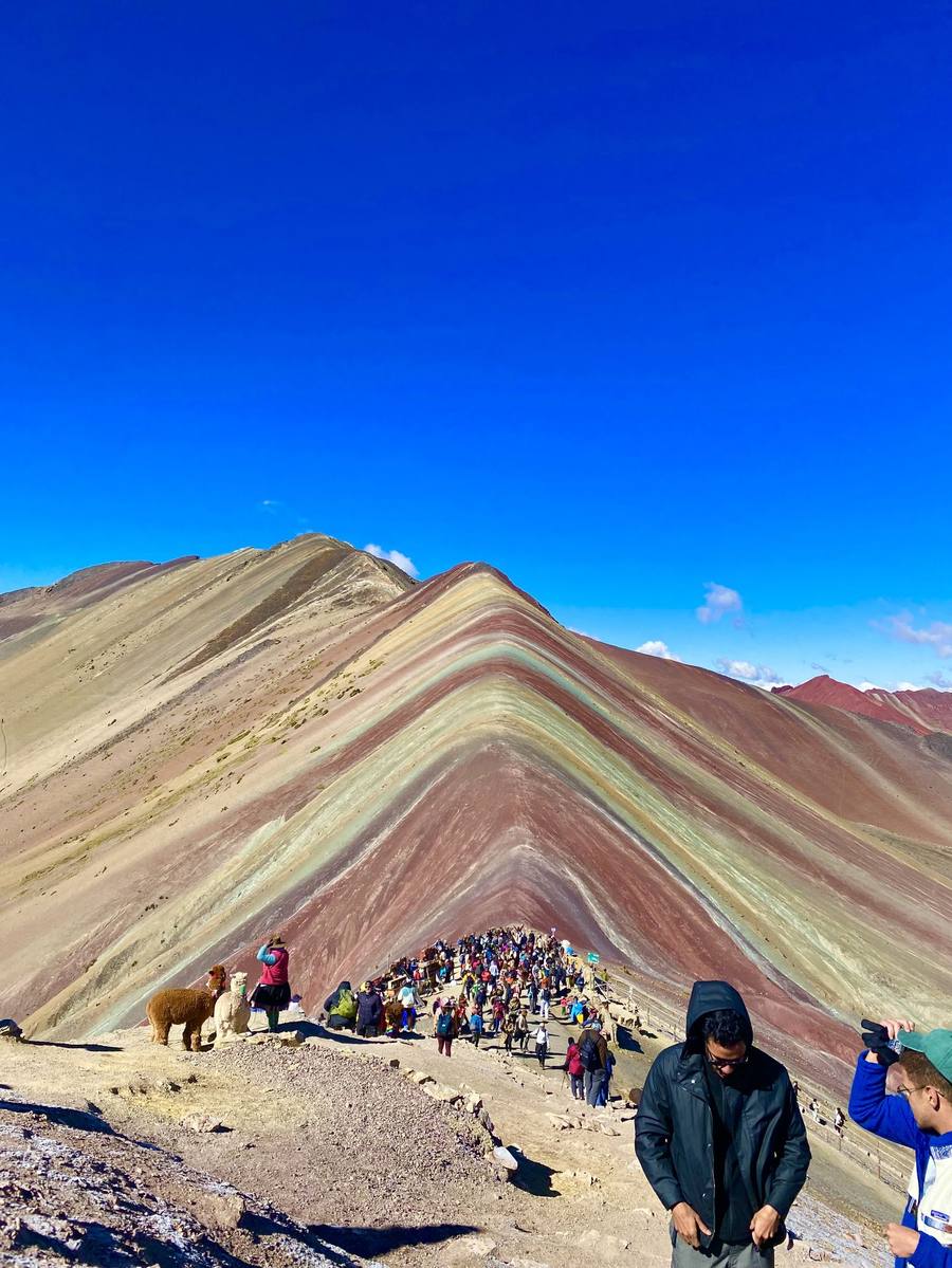 Hikers and alpacas on the trail up Rainbow Mountain (Vinicunca), Peru